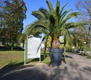 Leitsystemschilder Stadt Bad Rappenau